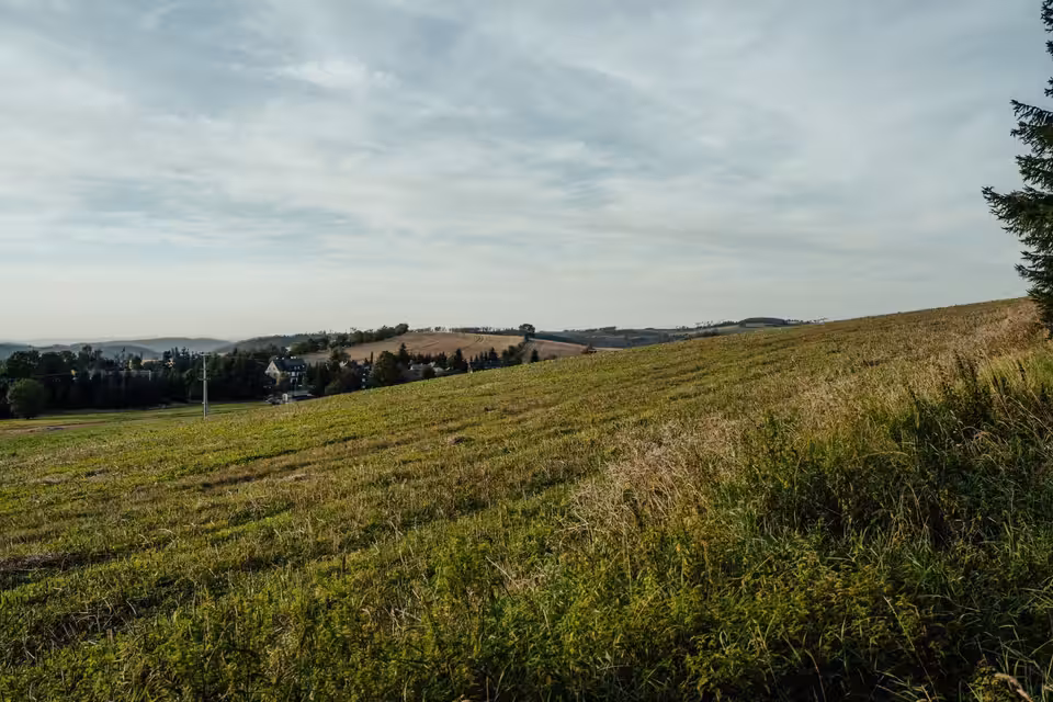 Seyhan Cemalpaşa Satılık Tarla · 15.000 m² · çayır — fotoğraf 1/3