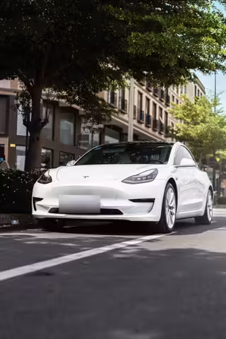 2020 Tesla Model 3 Standart Menzil · Elektrik Otomatik · Değişensiz
