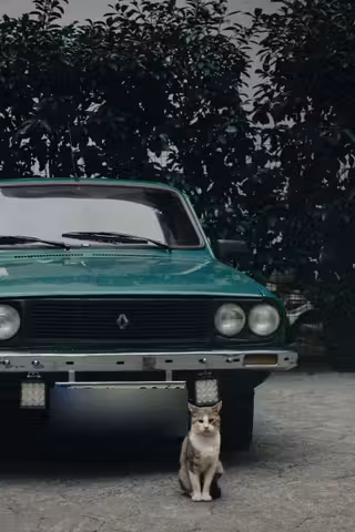 Sahibinden 1976 Renault R12 Bakımlı